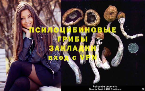apvp Пестово