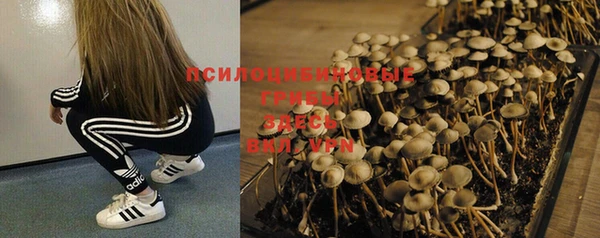 mix Пересвет