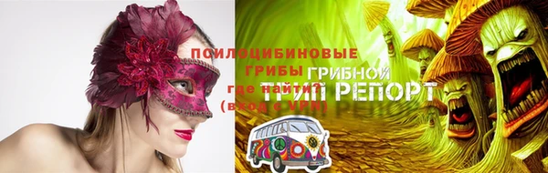 apvp Пестово