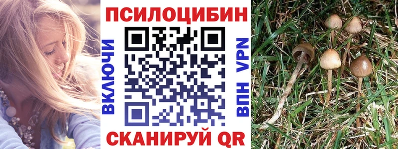 Галлюциногенные грибы GOLDEN TEACHER  Ак-Довурак 